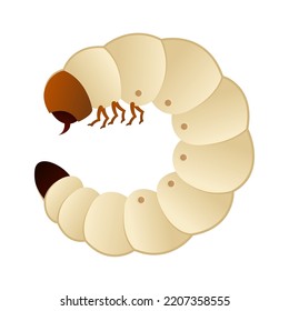 Larva Grub Vector Illustration Logo Icon Clipart