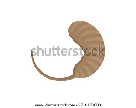 Larva Maggot Rat Tail Illustration