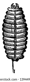 Larva of the Odynerus Wasp where the larva lines its cell with a silky cocoon vintage line drawing or engraving illustration.