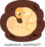Larvae sleep in the soil, hibernation