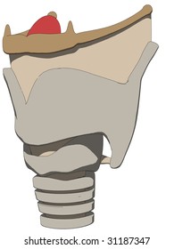 larynx anatomy