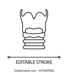 Larynx linear icon. Thin line illustration. Voice box. Contour symbol. Vector isolated outline drawing. Editable stroke