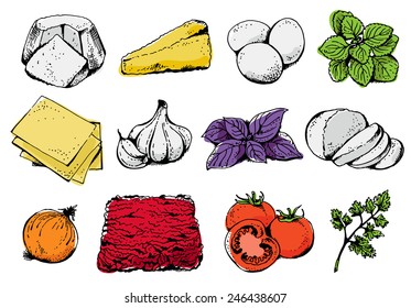 Lasagna ingredients vector set, food collection illustration isolated on white background: cheese, tomato, egg, oregano, pasta, basil, garlic, onion, meat, parsley