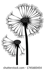 Laser Cutting Floral Template. Dandelion.  Black And White Plant Wall Sticker Decal. Die Cut Silhouette. Stamp