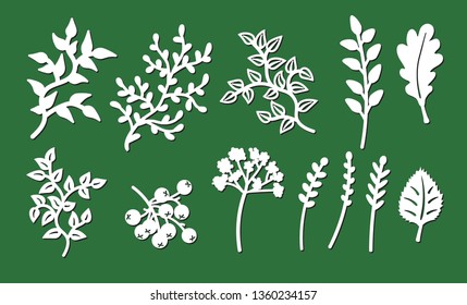 Laser cutting template of leaves, branches. Openwork foliage of oak, birch, herbs, grass isolated on green background. Vector silhouette of rowan element. Ecology art set for wood carving, paper cut.