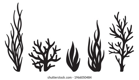 Laser cutting template. Seaweeds. Set of coral reef underwater plants vector. Aquarium alga set, ocean water plants silhouette. Paper cutout. Stamp. Stencil.