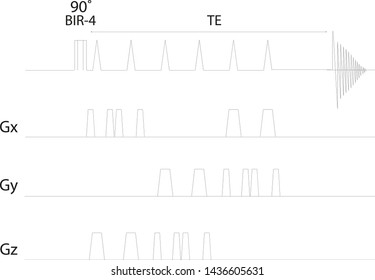 LASER MRI Sequence Schematics Magnetization