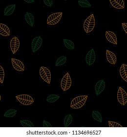 Laser Pattern of multicolored leaves on a dark background