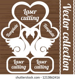 laser swans frame diagram