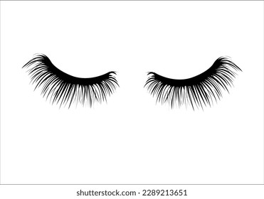 lash drawing design vector art