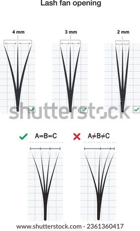 Lash fan opening. Russian volume eyelash extension procedure. Eyelash extension techniques.