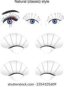 Lash mapping. Classic style eyelash extension. Lash training sheet