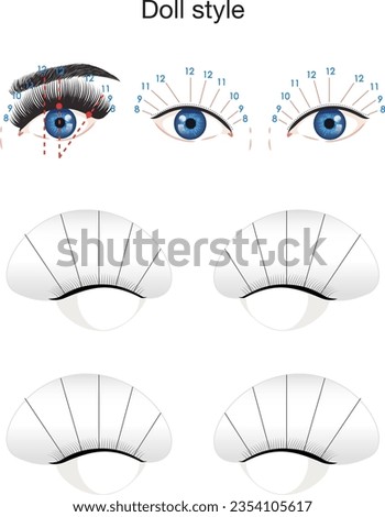 Lash mapping. Doll style eyelash extension. Lash training sheet