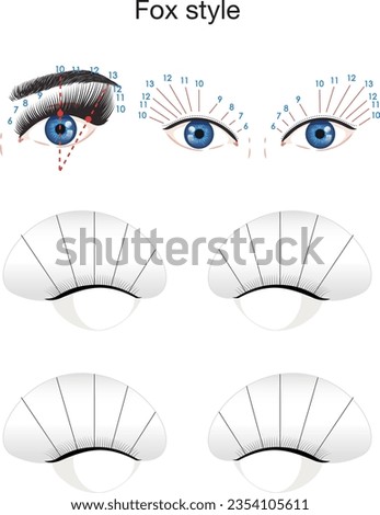 Lash mapping. Fox style eyelash extension. Lash training sheet