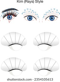 Lash mapping. Kim (rays) style eyelash extension. Lash training sheet