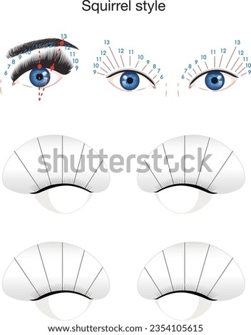 Lash mapping. Squirrel style eyelash extension. Lash training sheet