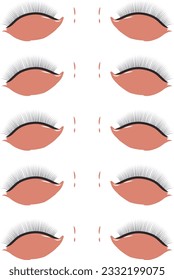 Lash mappings practice sheet. Close eyes with lashes for practicing lash styles.