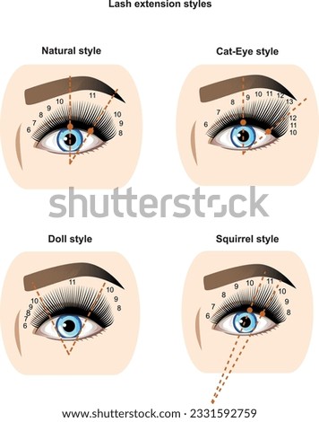 Lash styles. Lash mappings in eyelash extension. Lash effects. Natural, Doll, Squirrel, Fox
