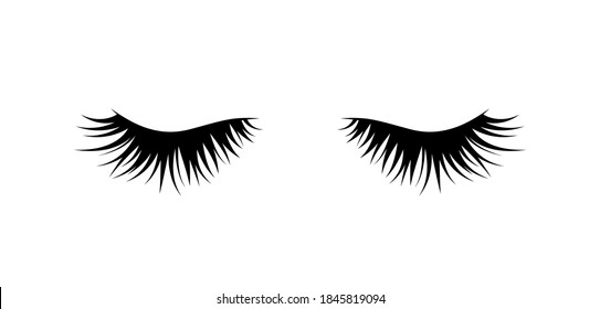 Lashes. Beautiful hand drawn female lashes. Vector