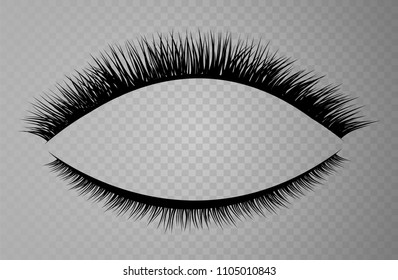 Lashes isolated on transparent background. False eyelashes set. Vector illustration