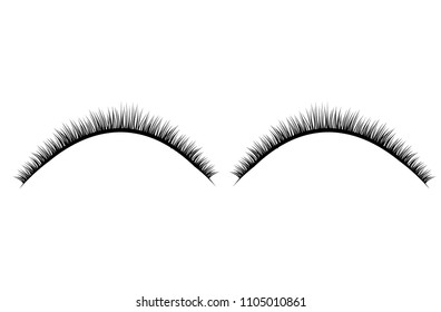Lashes isolated on transparent background. False eyelashes set. Vector illustration