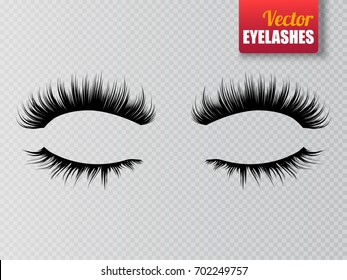 Lashes isolated on transparent background. False eyelashes set. Vector illustration