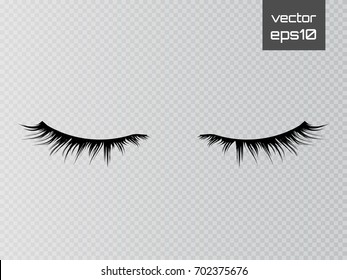 Lashes isolated on transparent background. False eyelashes set. Vector illustration