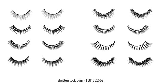 Lashes set. Lashes extensions vector illustration.