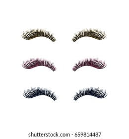 Lashes vector illustration