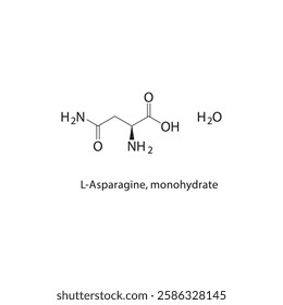 L-Asparagine, monohydrate skeletal structure.Amino Acid compound schematic illustration. Simple diagram, chemical formula.