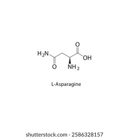 L-Asparagine skeletal structure.Amino Acid compound schematic illustration. Simple diagram, chemical formula.