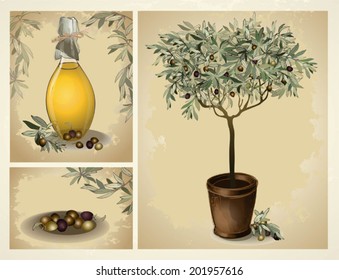 lass bottle of premium virgin olive oil and some olives with leaves. Illustration olive tree.