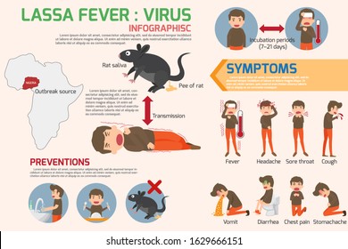 Lassa fever virus infographics elements. Lassa fever symptoms and prevention. health and medical concept vector illustration.