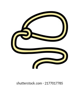 lasso accessory color icon vector. lasso accessory sign. isolated symbol illustration