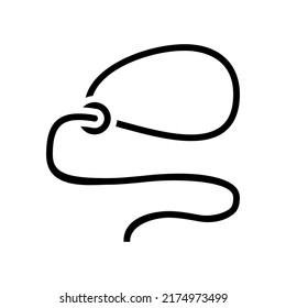 lasso accessory glyph icon vector. lasso accessory sign. isolated symbol illustration