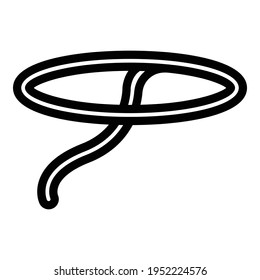 Lasso icon. Outline Lasso vector icon for web design isolated on white background