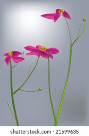 last autumn flowers