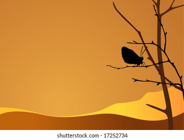 last butterfly