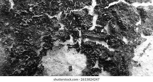 The Last Echoes of a Surface That Once Held Form and Function

