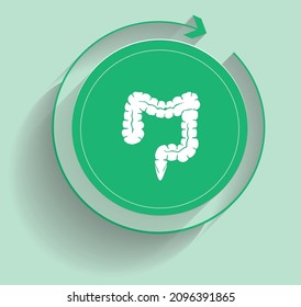 last part of the digestive tract