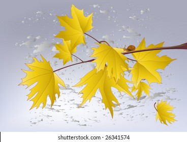 last yellow maple leaves a wind and a snail