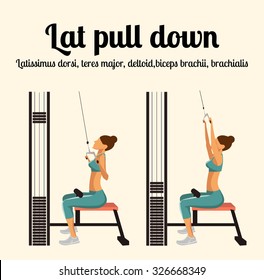 Lat Pull Down - Exercise Gym