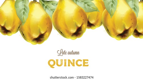 Late autumn quince with leaves in watercolor style. Vector