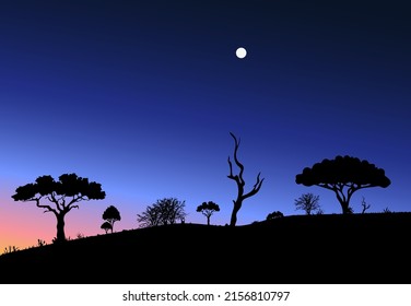 Late evening in the savannah