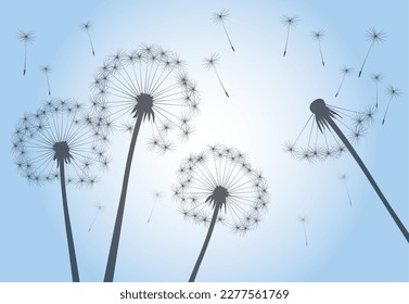 Semillas de verano tardío y de vuelo. Flor de Dandelion en el cielo azul. Ilustración del contorno del vector.