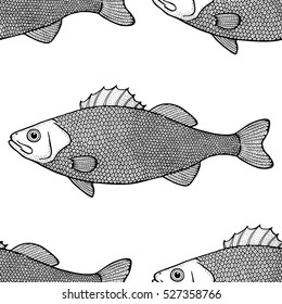 lateolabrax japonicus pattern