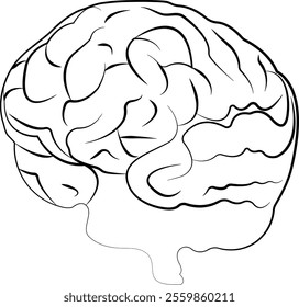 Lateral view of human brain. Medicine and science illustration. The brain's structure. Black and white vector