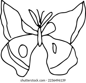 Latest butterfly hand drawn design