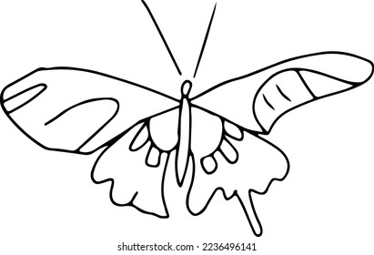 Latest butterfly hand drawn design