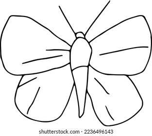Latest butterfly hand drawn design